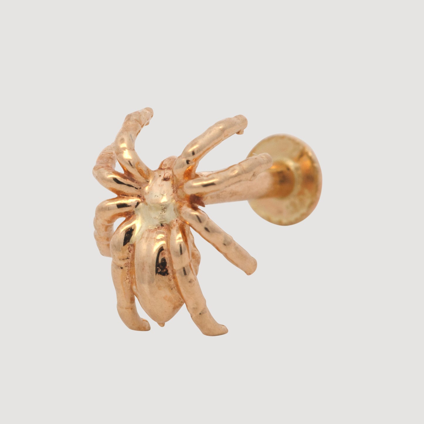 14K Yellow Gold 3D Spider Cartilage Earring