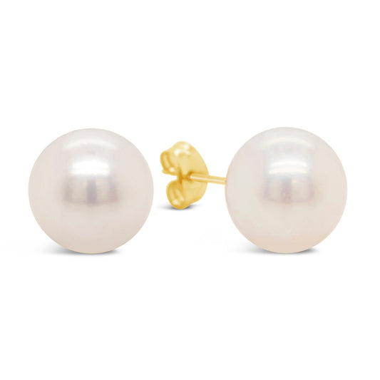 14K Yellow Gold 10mm Pearl Pushback Earrings